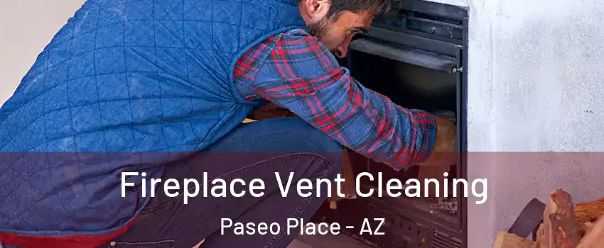 Fireplace Vent Cleaning Paseo Place - AZ