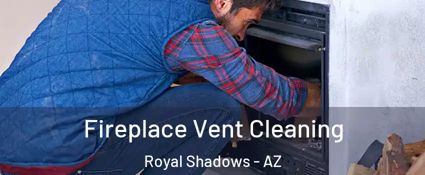 Fireplace Vent Cleaning Royal Shadows - AZ