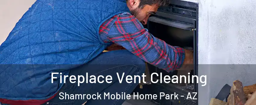 Fireplace Vent Cleaning Shamrock Mobile Home Park - AZ