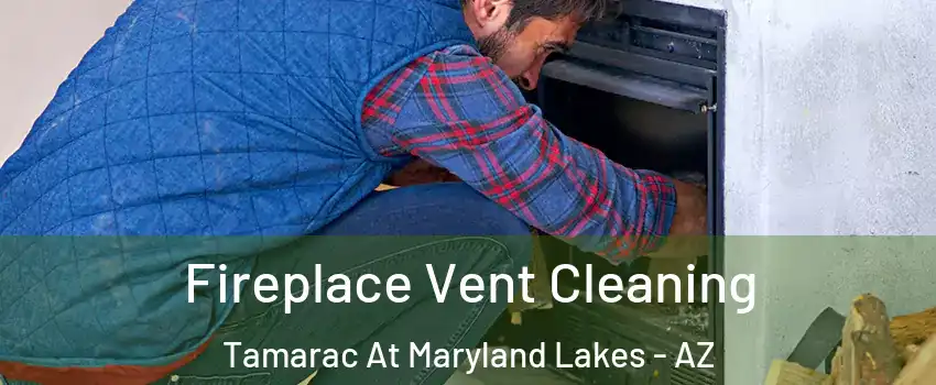 Fireplace Vent Cleaning Tamarac At Maryland Lakes - AZ