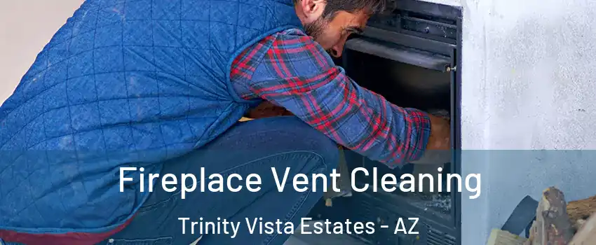 Fireplace Vent Cleaning Trinity Vista Estates - AZ