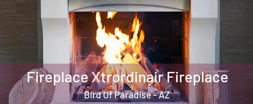 Fireplace Xtrordinair Fireplace Bird Of Paradise - AZ