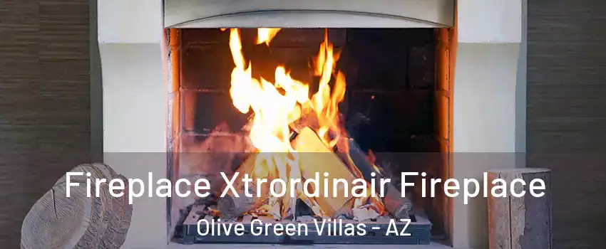 Fireplace Xtrordinair Fireplace Olive Green Villas - AZ