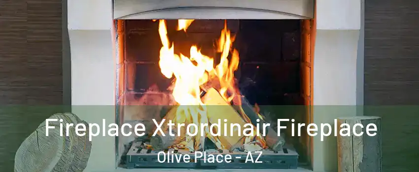 Fireplace Xtrordinair Fireplace Olive Place - AZ