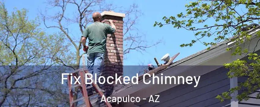 Fix Blocked Chimney Acapulco - AZ