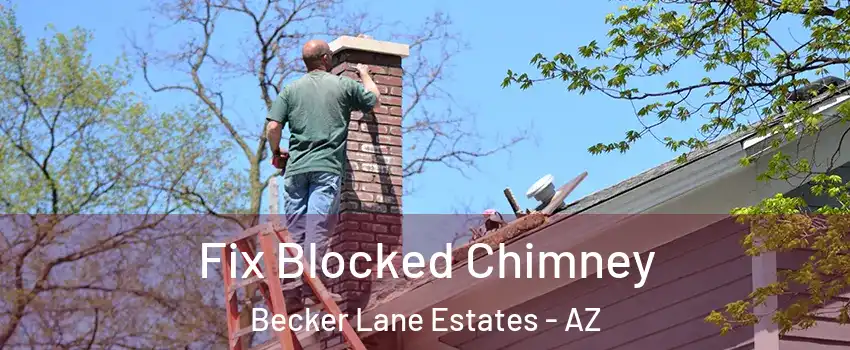 Fix Blocked Chimney Becker Lane Estates - AZ