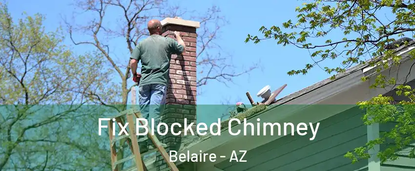 Fix Blocked Chimney Belaire - AZ
