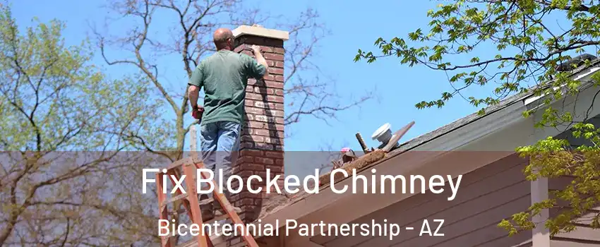 Fix Blocked Chimney Bicentennial Partnership - AZ
