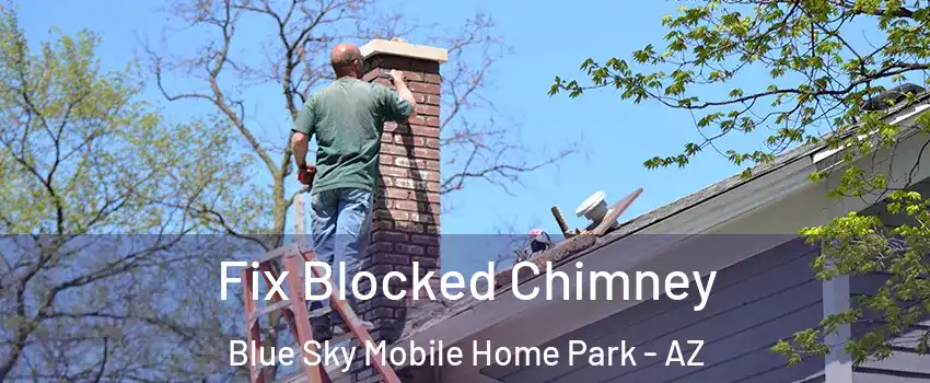 Fix Blocked Chimney Blue Sky Mobile Home Park - AZ