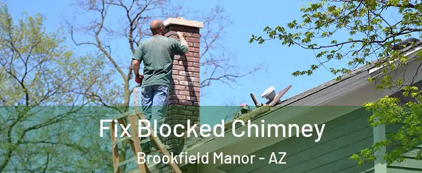 Fix Blocked Chimney Brookfield Manor - AZ