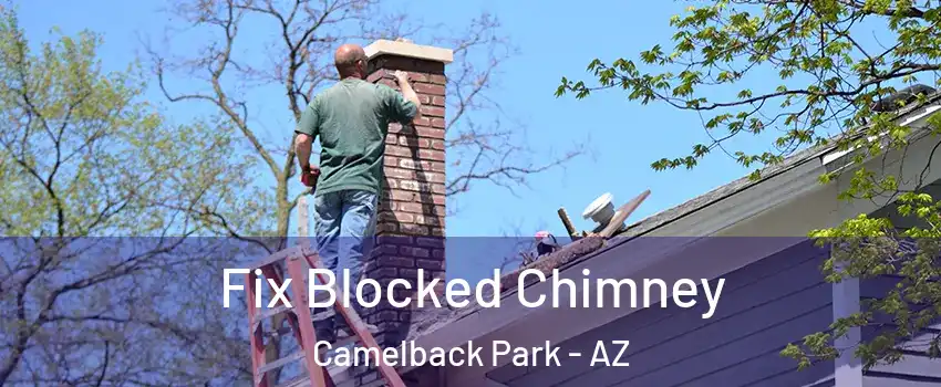 Fix Blocked Chimney Camelback Park - AZ
