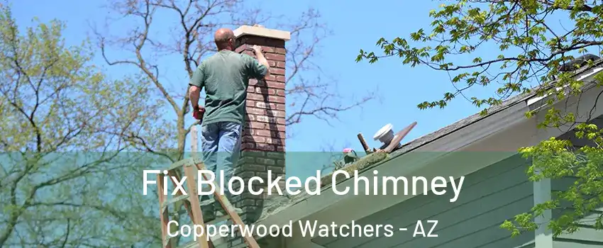 Fix Blocked Chimney Copperwood Watchers - AZ