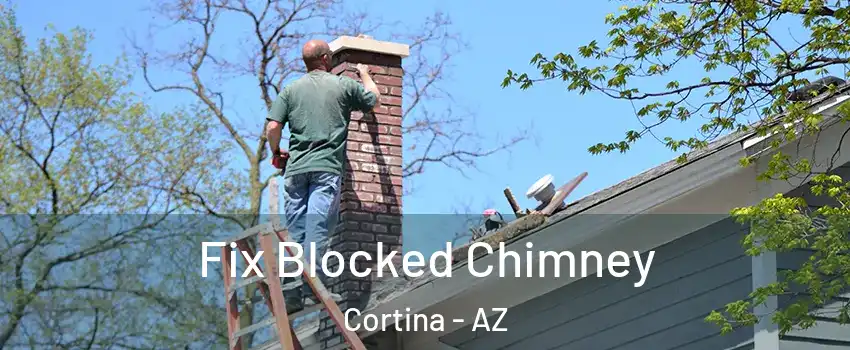 Fix Blocked Chimney Cortina - AZ