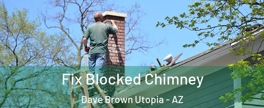 Fix Blocked Chimney Dave Brown Utopia - AZ