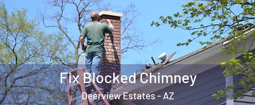 Fix Blocked Chimney Deerview Estates - AZ