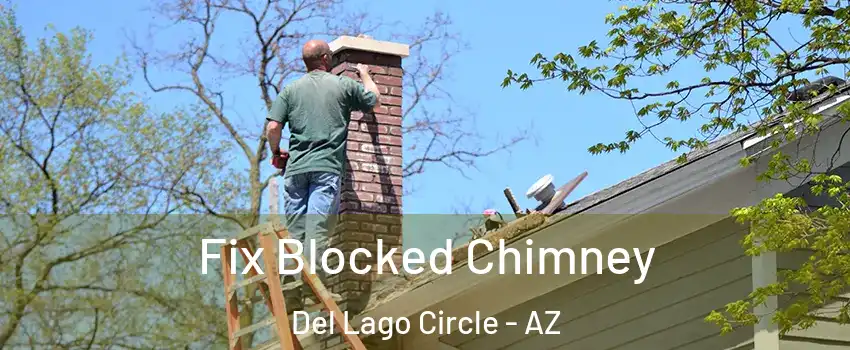 Fix Blocked Chimney Del Lago Circle - AZ