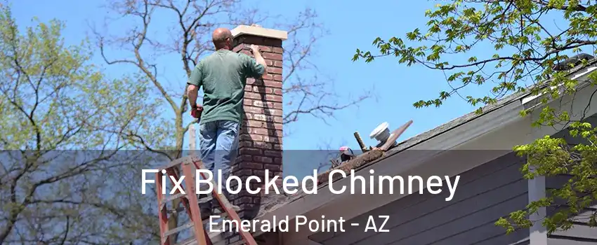 Fix Blocked Chimney Emerald Point - AZ