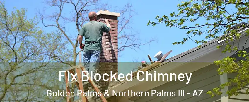 Fix Blocked Chimney Golden Palms & Northern Palms III - AZ