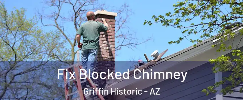 Fix Blocked Chimney Griffin Historic - AZ