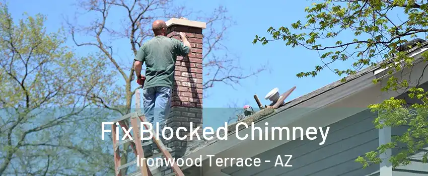 Fix Blocked Chimney Ironwood Terrace - AZ
