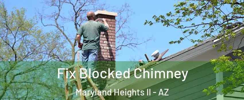 Fix Blocked Chimney Maryland Heights II - AZ
