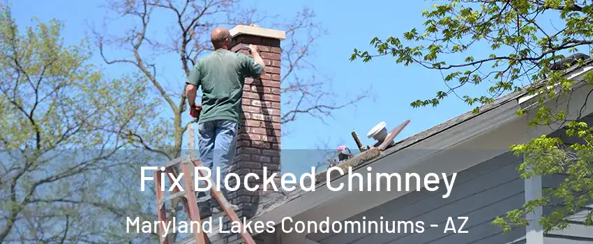 Fix Blocked Chimney Maryland Lakes Condominiums - AZ