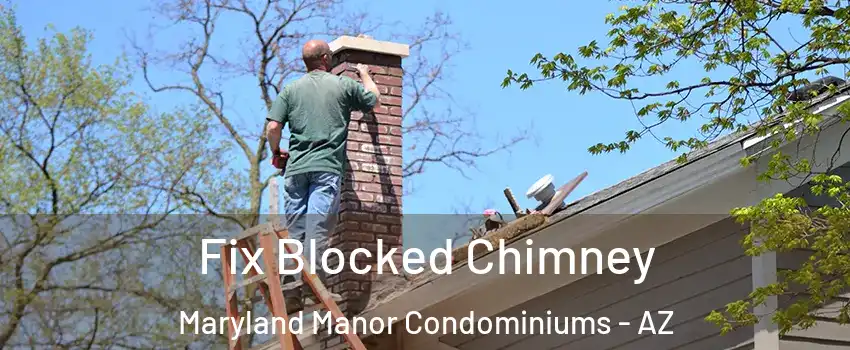 Fix Blocked Chimney Maryland Manor Condominiums - AZ