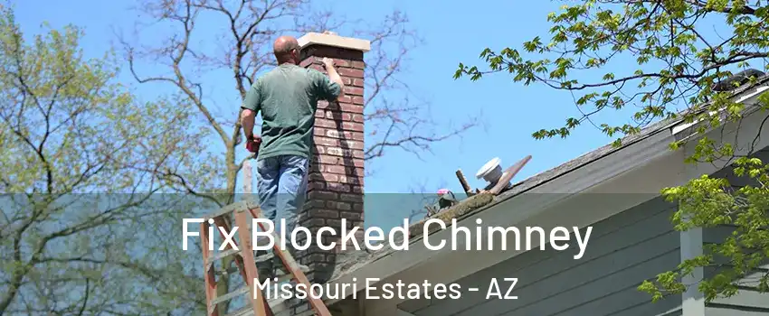 Fix Blocked Chimney Missouri Estates - AZ