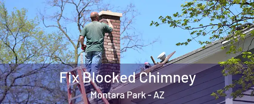 Fix Blocked Chimney Montara Park - AZ