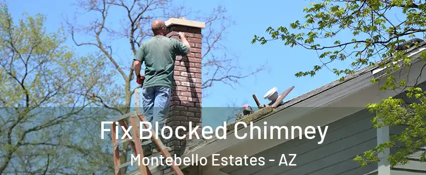 Fix Blocked Chimney Montebello Estates - AZ