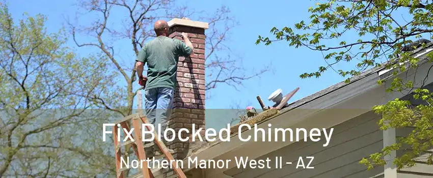 Fix Blocked Chimney Northern Manor West II - AZ
