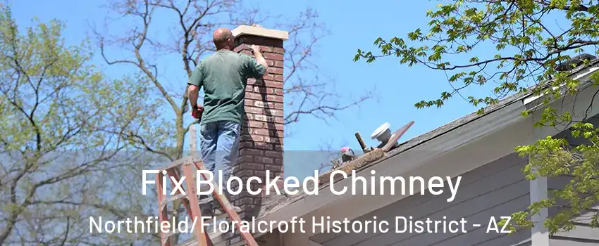 Fix Blocked Chimney Northfield/Floralcroft Historic District - AZ