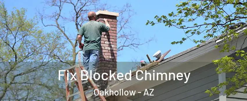 Fix Blocked Chimney Oakhollow - AZ