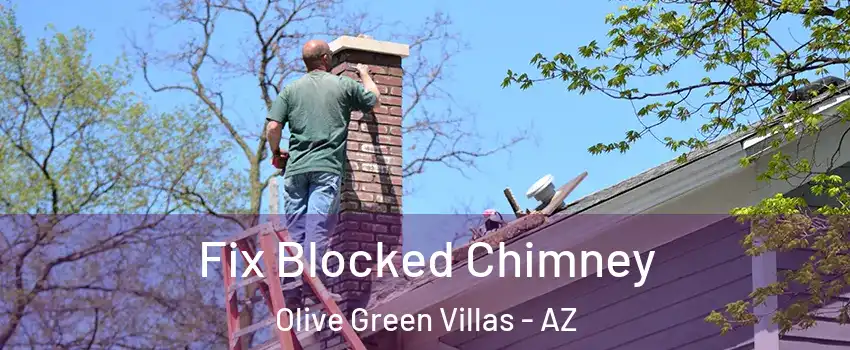 Fix Blocked Chimney Olive Green Villas - AZ