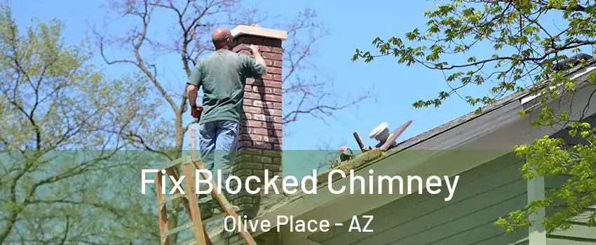 Fix Blocked Chimney Olive Place - AZ