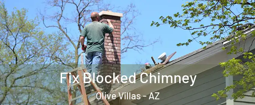 Fix Blocked Chimney Olive Villas - AZ