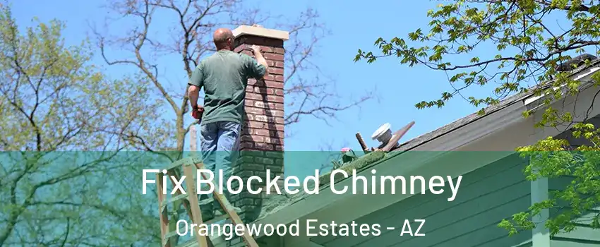 Fix Blocked Chimney Orangewood Estates - AZ