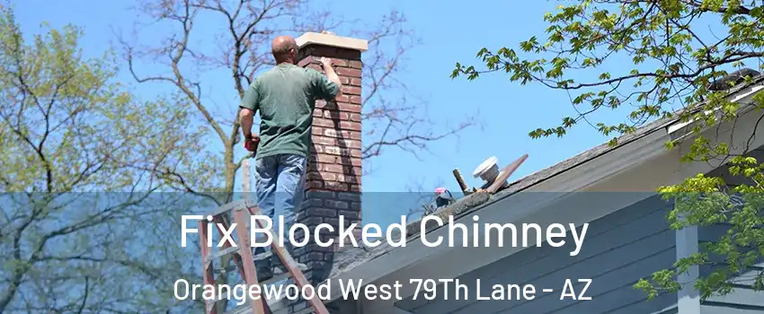 Fix Blocked Chimney Orangewood West 79Th Lane - AZ