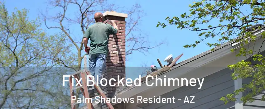 Fix Blocked Chimney Palm Shadows Resident - AZ
