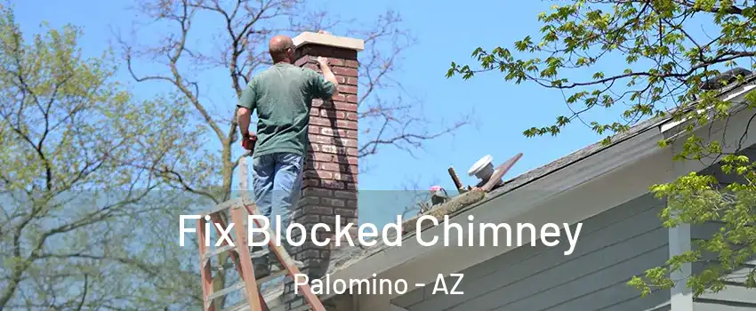 Fix Blocked Chimney Palomino - AZ