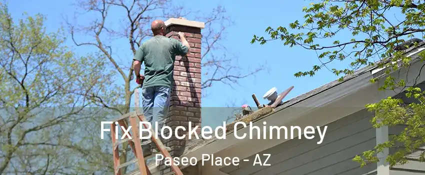 Fix Blocked Chimney Paseo Place - AZ