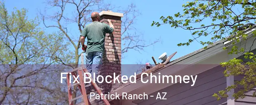 Fix Blocked Chimney Patrick Ranch - AZ