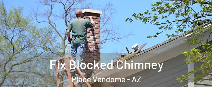 Fix Blocked Chimney Place Vendome - AZ