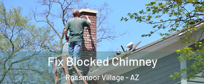 Fix Blocked Chimney Rossmoor Village - AZ