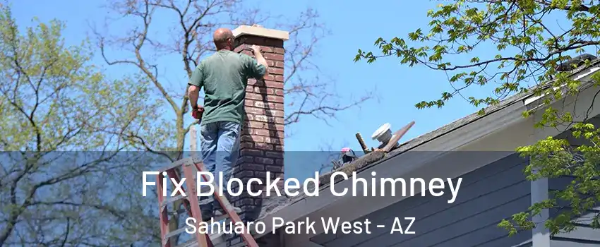Fix Blocked Chimney Sahuaro Park West - AZ