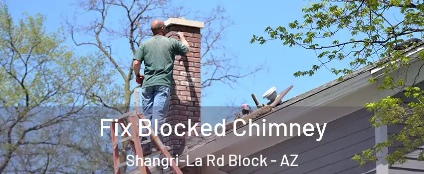 Fix Blocked Chimney Shangri-La Rd Block - AZ