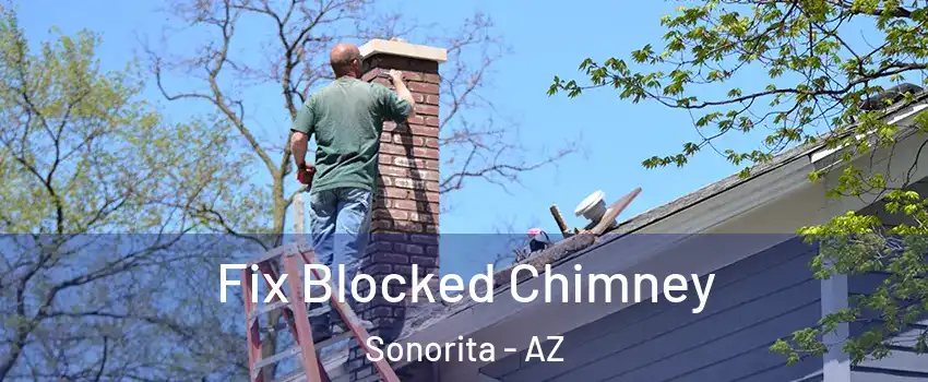 Fix Blocked Chimney Sonorita - AZ