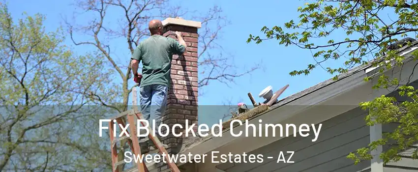 Fix Blocked Chimney Sweetwater Estates - AZ