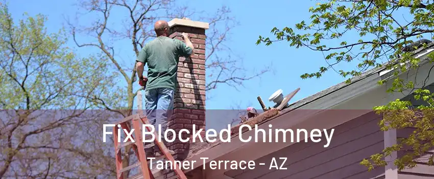 Fix Blocked Chimney Tanner Terrace - AZ