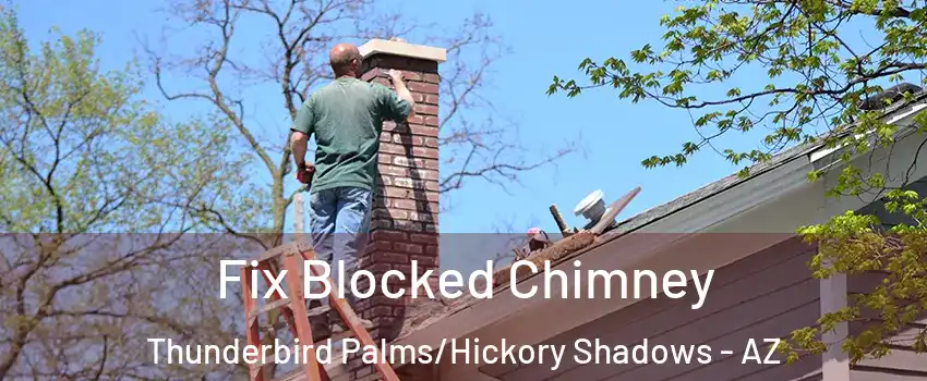 Fix Blocked Chimney Thunderbird Palms/Hickory Shadows - AZ